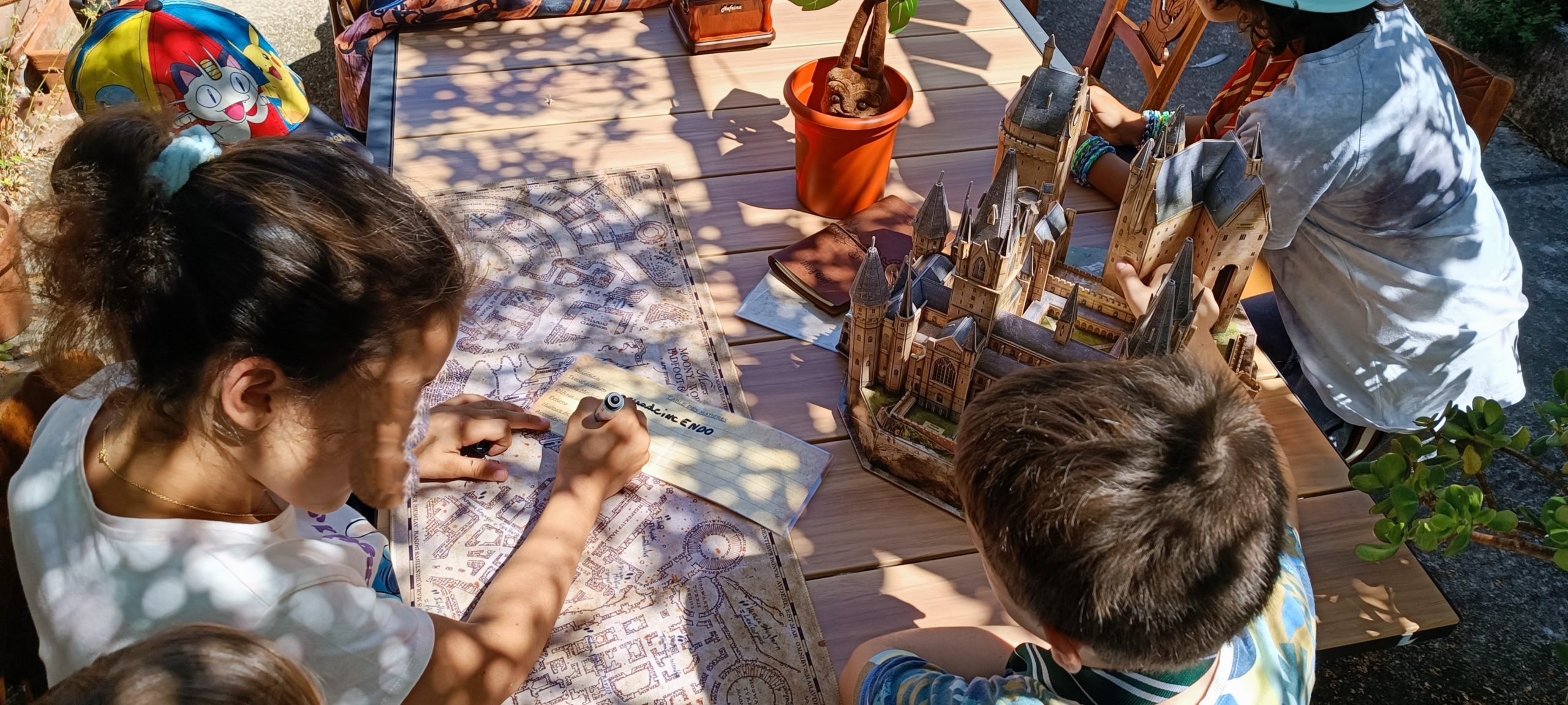 Photo du scénario L'école des sorciers