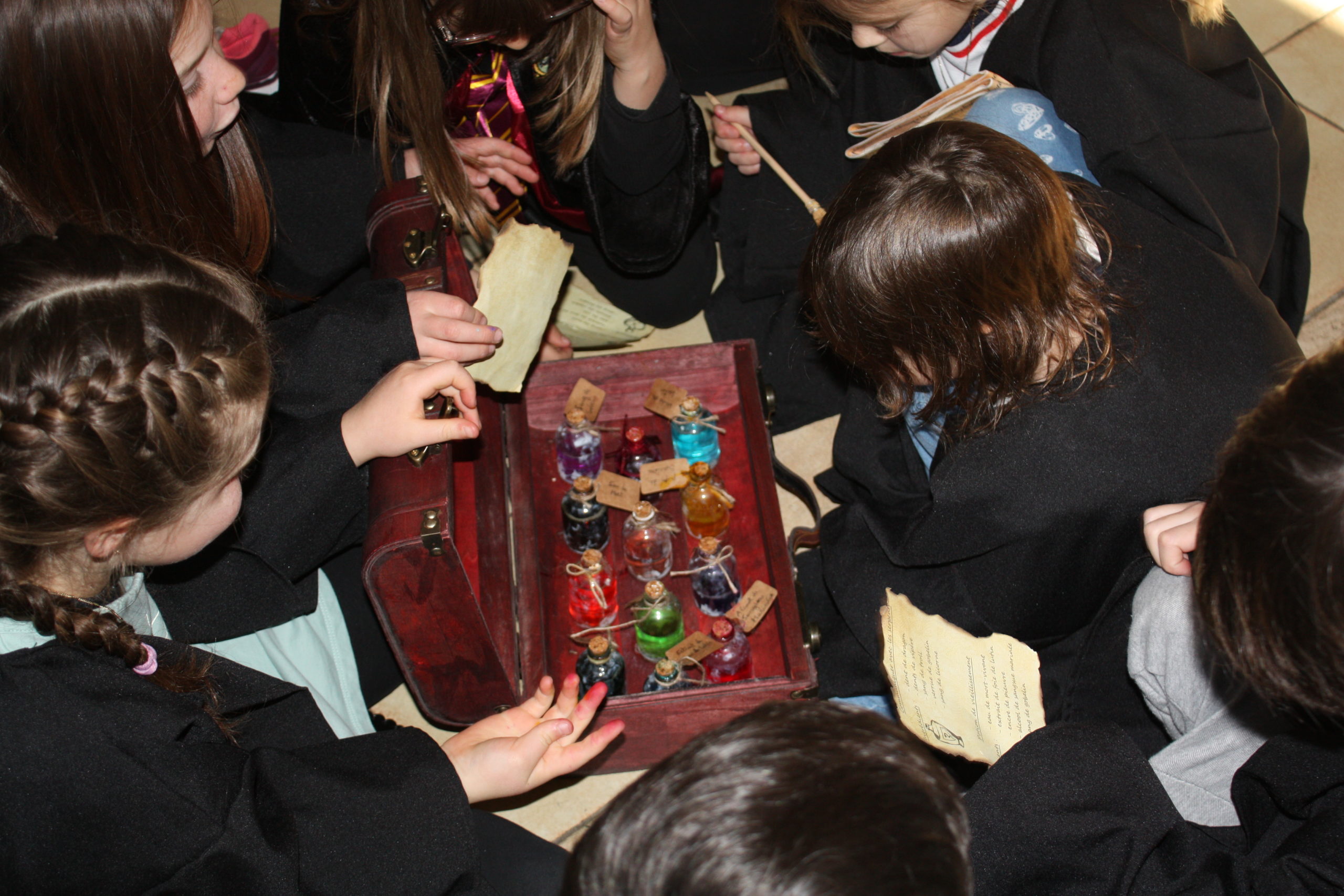 Photo du scénario L'école des sorciers