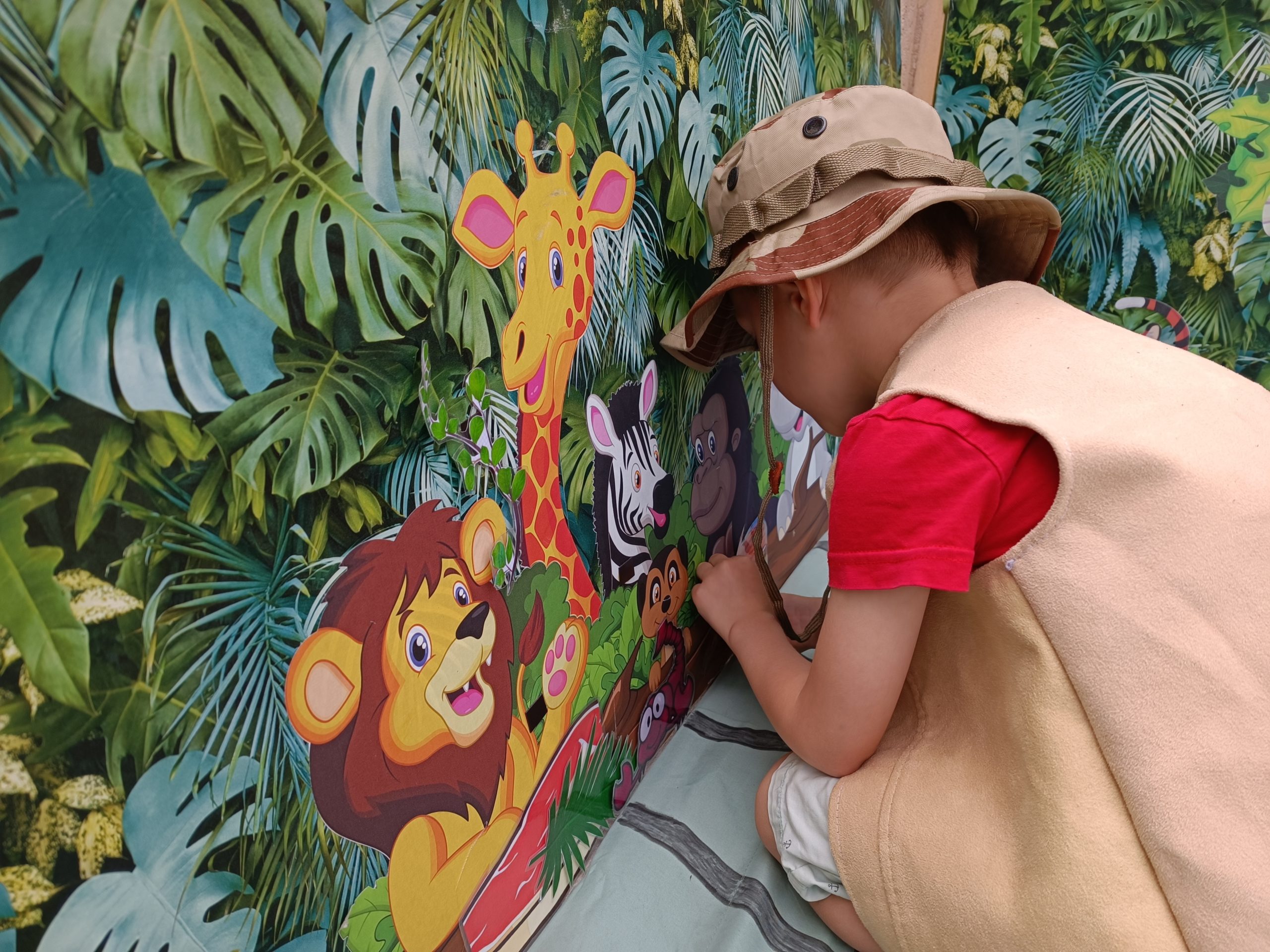 Photo du scénario Jungle safari