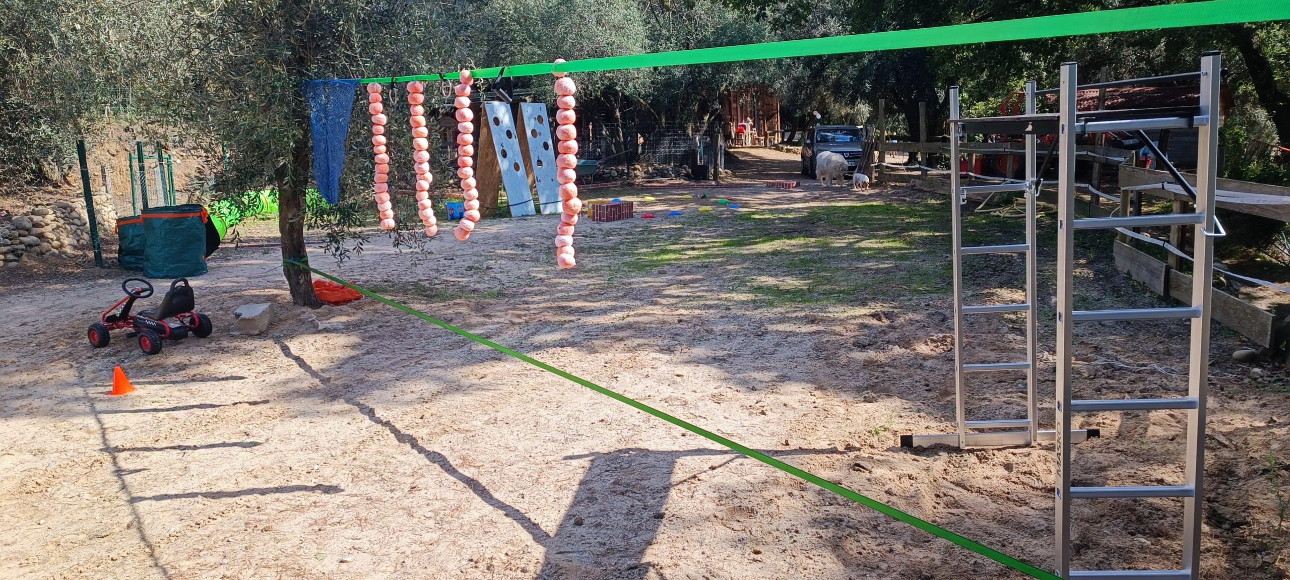 Photo du scénario Ninja Mario