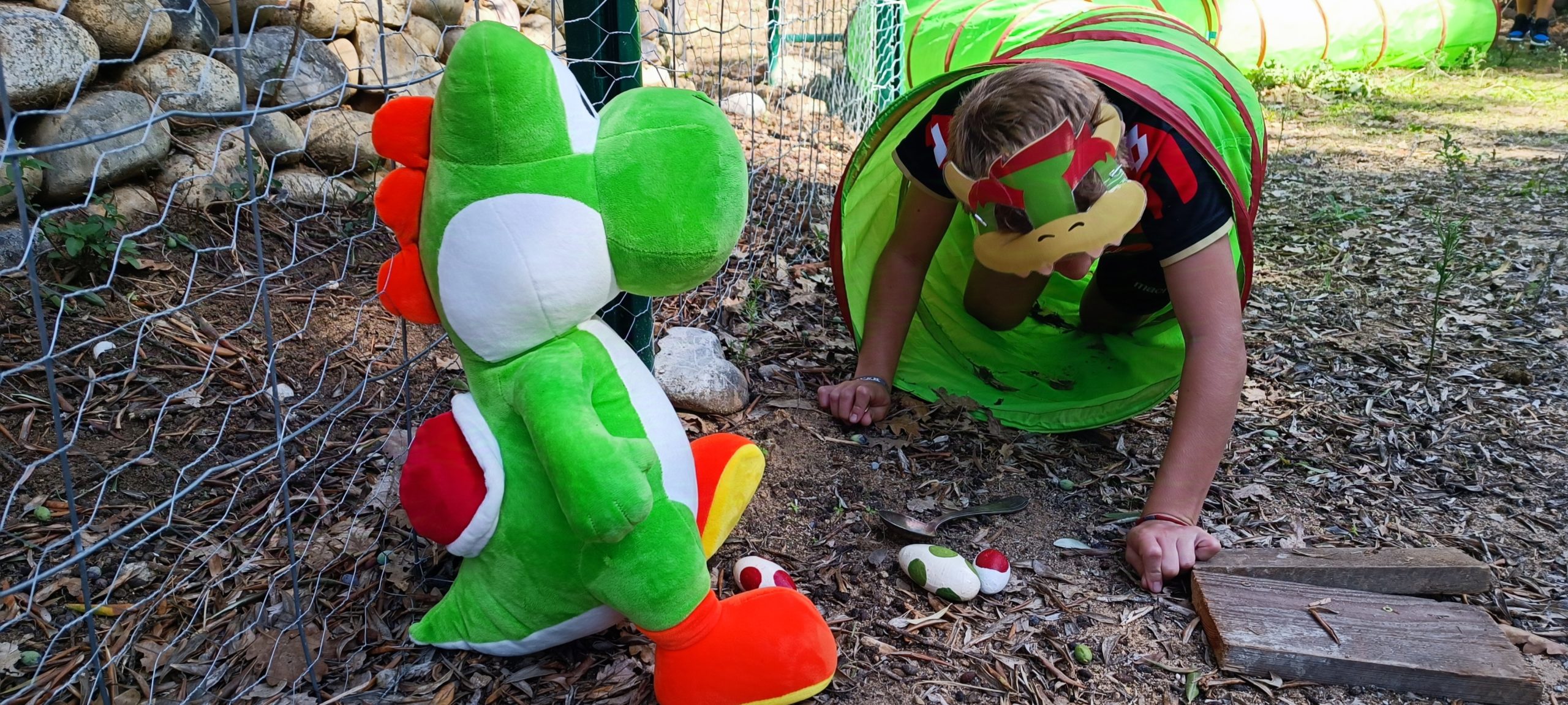 Photo du scénario Ninja Mario